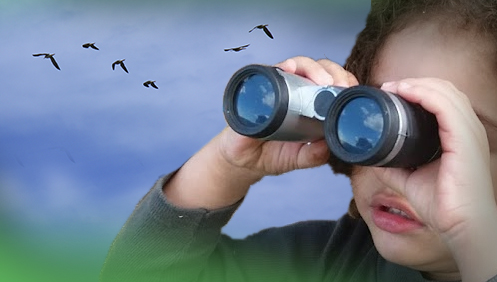 Saiba mas sobre o Coração   Observação de aves: um hobby que vem crescendo a cada dia!