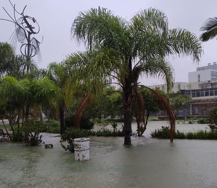 Fenômeno transbordou laguinho no Campus de Florianópolis da UFSC