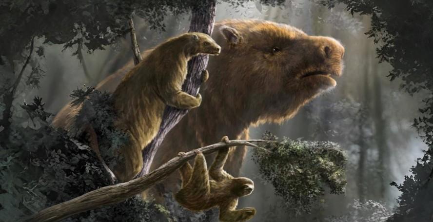 Preguiça-gigante: ação humana moldou evolução e extinção da preguiça terrestre