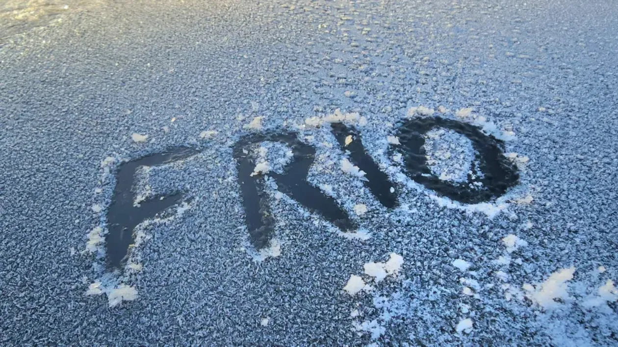 Frio chegando: veja cinco truques para preparar a casa para a estação