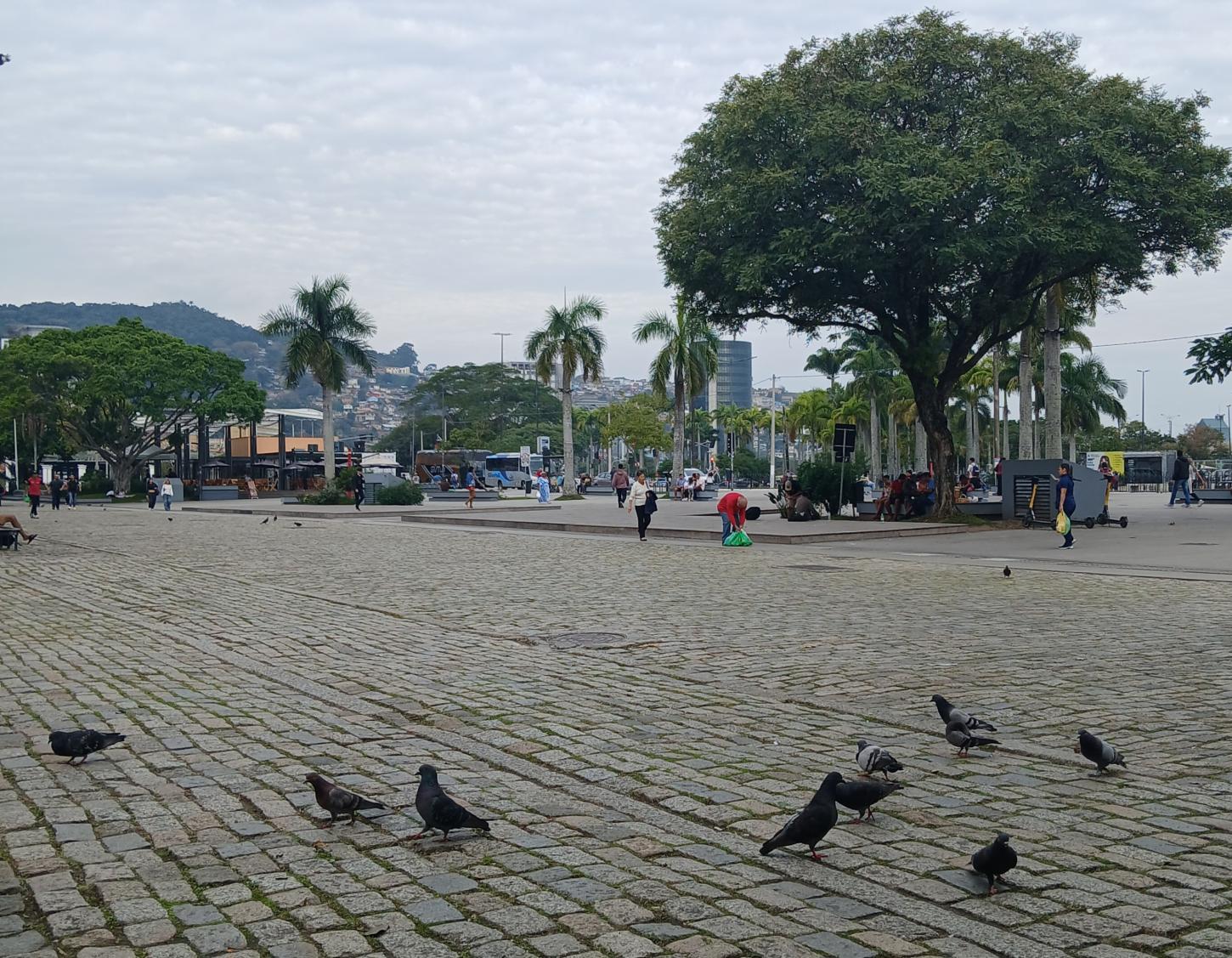 Vereador de Florianópolis sugere fechamento de Parques e praças durante a madrugada.