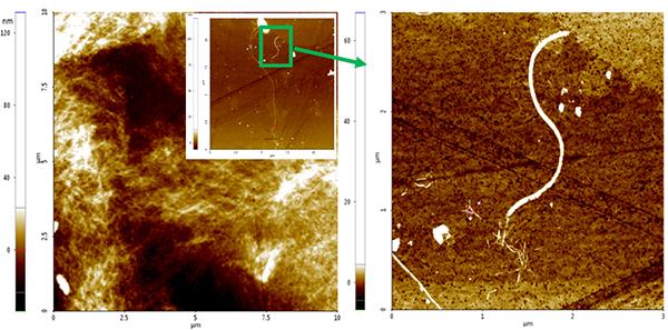 Pesquisadores utilizam nanofibras de celulose para produzir hidrogênio