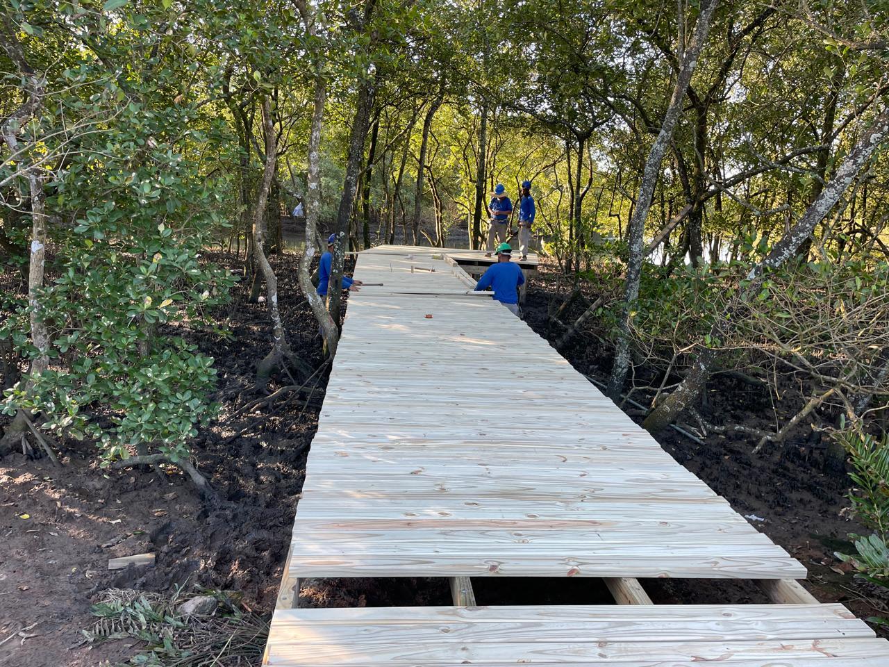 Manguezal do Itacobubi terá nova passarela ambiental