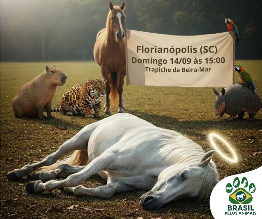 Manifestação Nacional Exige Justiça e Proteção para Todos os Animais 