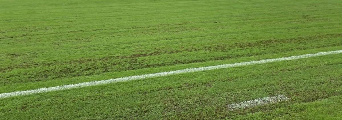 Com trinta jogos pelo Vila Nova-GO em 2025, Arilson projeta sequência na carreira e vive expectativa do nascimento da terceira filha.