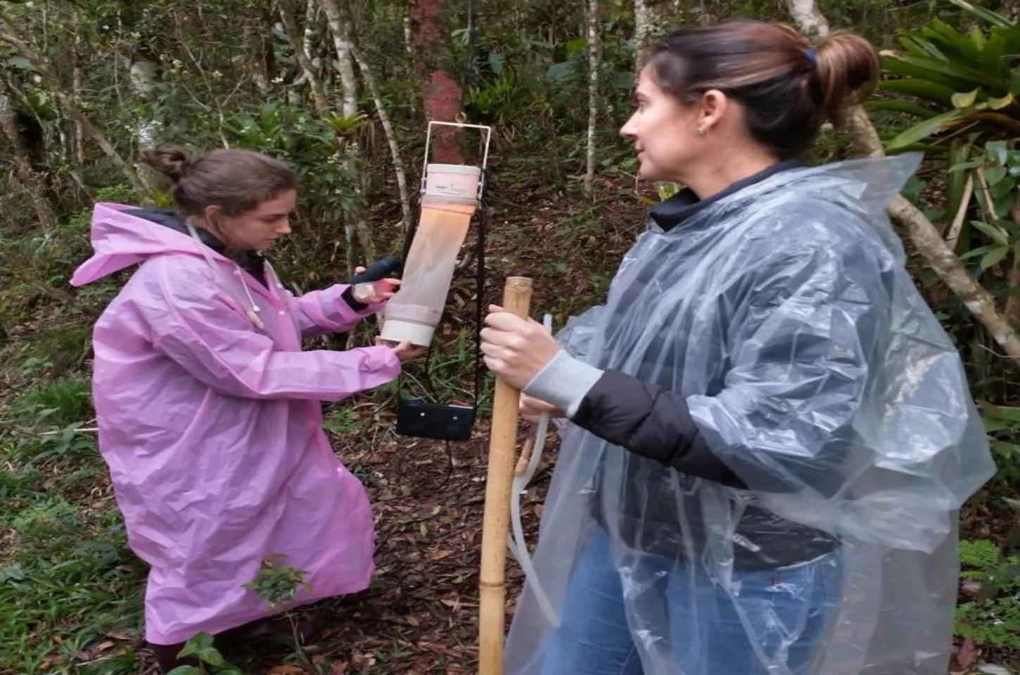 Estudo da UFSC revela que mosquito transmissor da malária é, na verdade, cinco espécies diferentes
