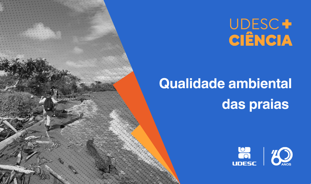 Pesquisadores criam índice inédito para avaliar efeito de furacões no litoral caribenho