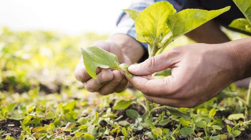 Alta de até 380% no valor da terra leva produtores a reagirem contra base do ITR