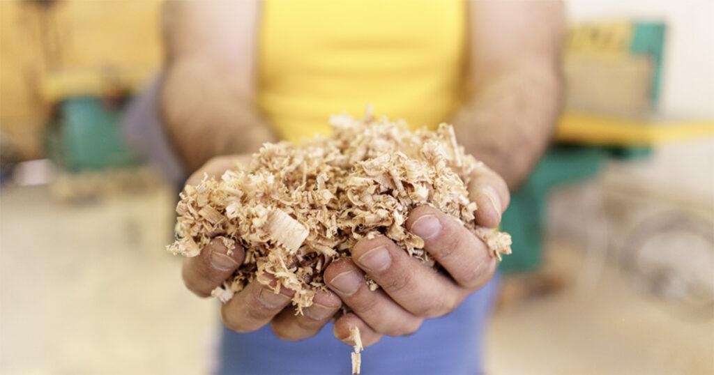 Biorreator criado em laboratório degrada resíduos da indústria de papel e celulose