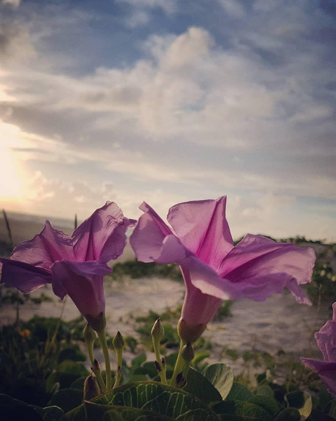 Escutar é um ato de amor