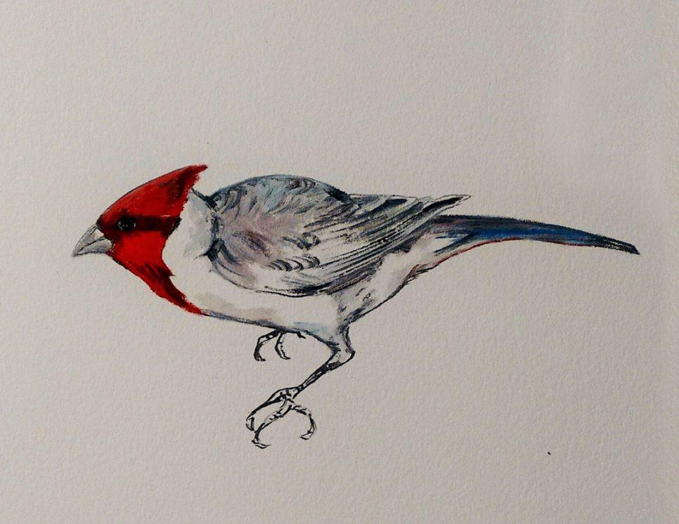 Fotógrafo e artista visual Ricardo Barcellos expõe videoinstalação no Centro Cultural Veras, em Florianópolis