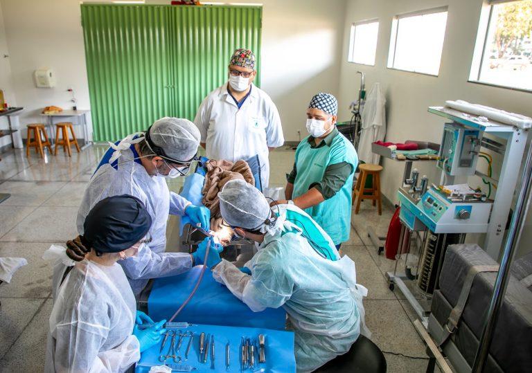 UFSC desenvolve pesquisa inédita sobre regeneração óssea com estimulação elétrica