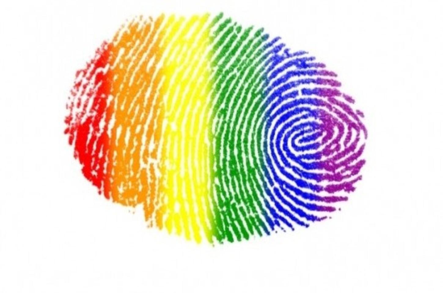 Artigo dez, do dez mandamento da LGBTQIAPN+ 