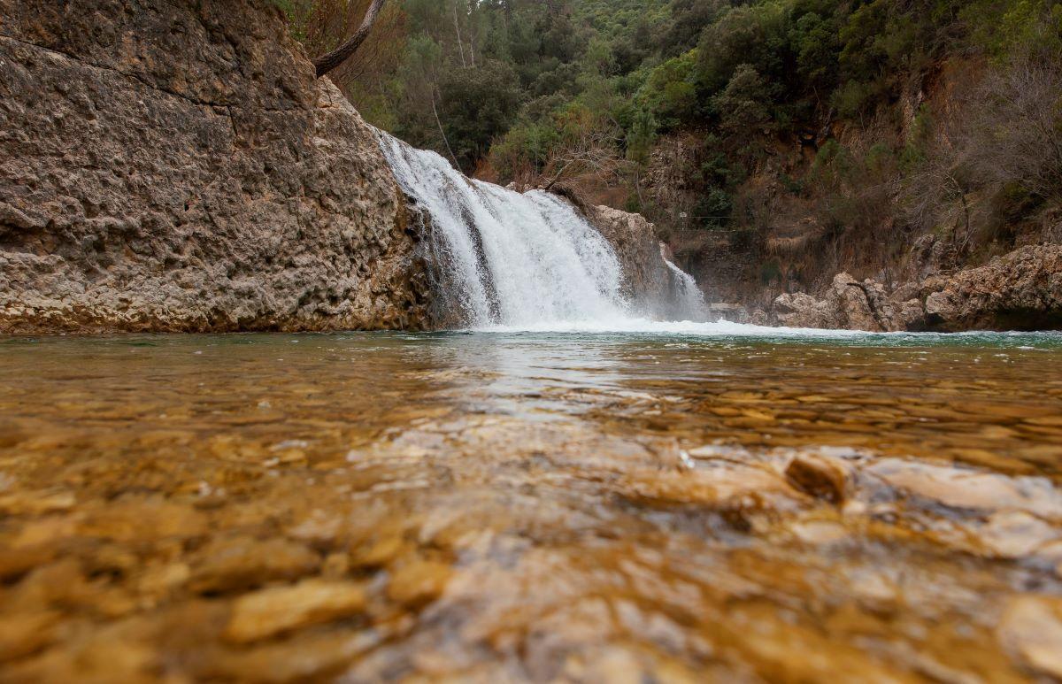 Proteção das nascentes orienta atuação de indústria de água mineral no Paraná