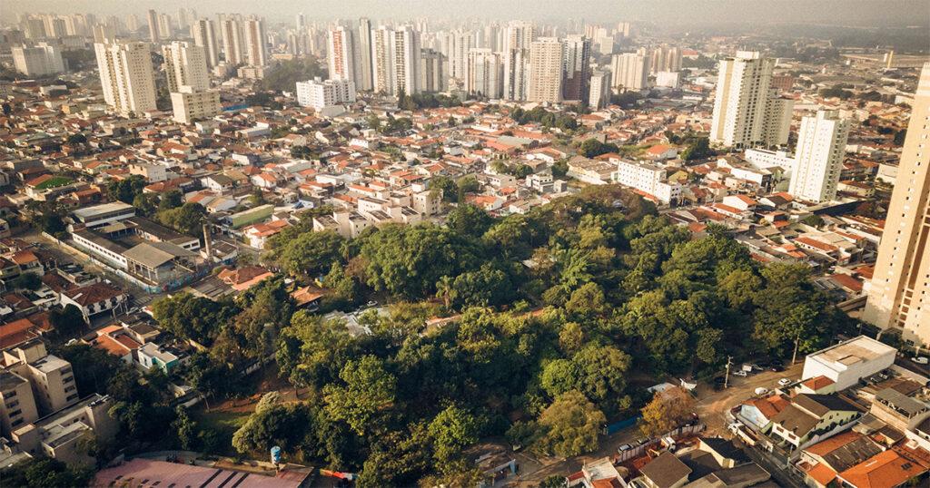 Muito além do verde: como gênero e CEP mudam nossa conexão mental com a natureza