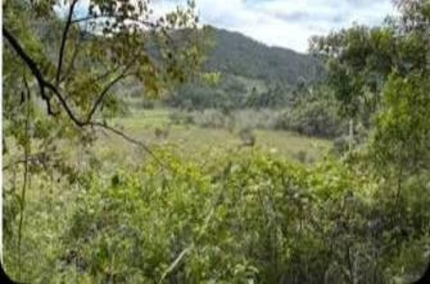 A preparação da terra para começar a obra da criação!