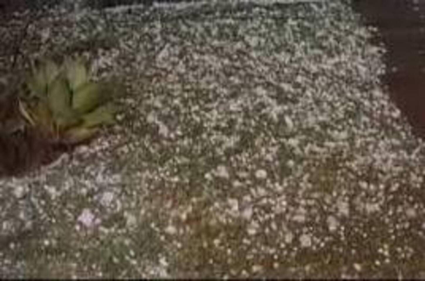  Florianópolis atende famílias atingidas pelo granizo e mantém equipes mobilizadas neste domingo