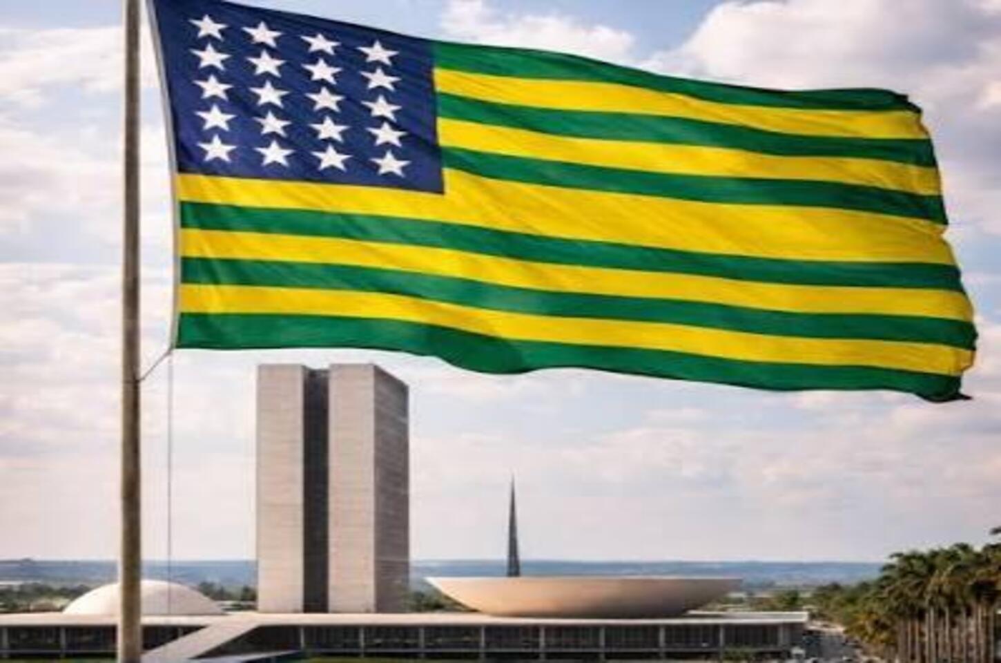 Guerra e paz - Viver é um risco (IN) calculado