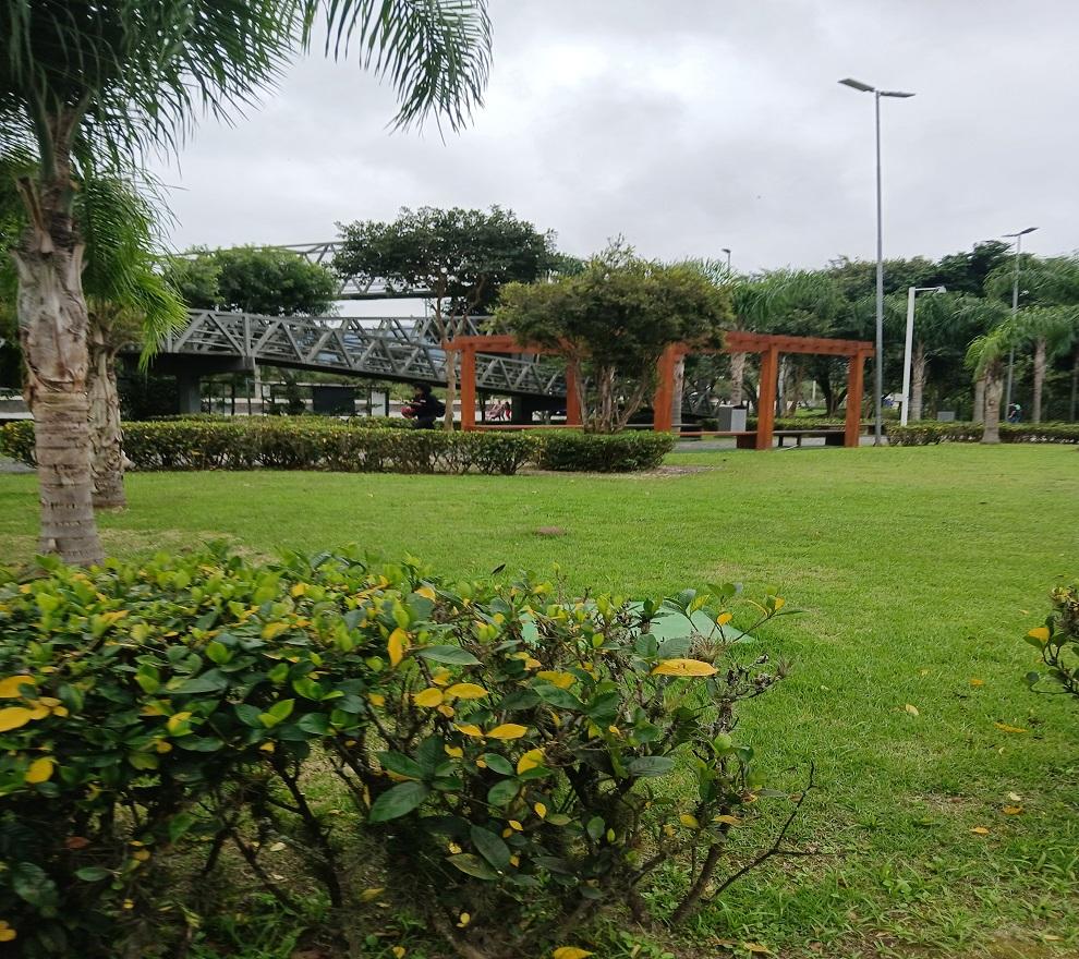 A preparação do projeto para obra da criação!    