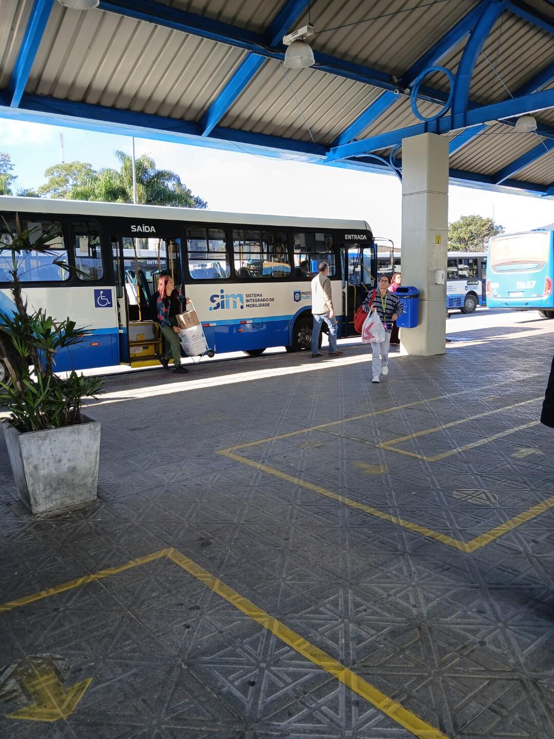 Florianópolis terá ônibus gratuito no domingo das eleições