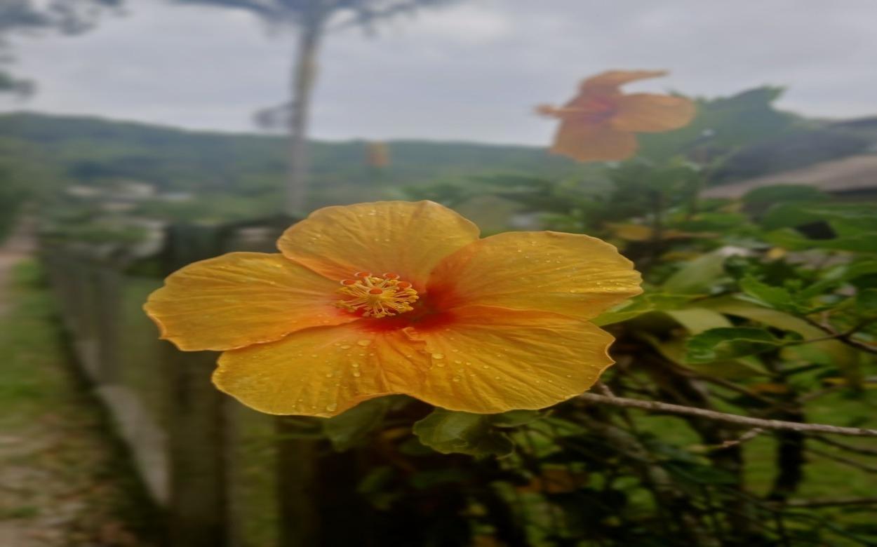 El Niño influencia primavera com chuvas e temperaturas contrastantes no Brasil