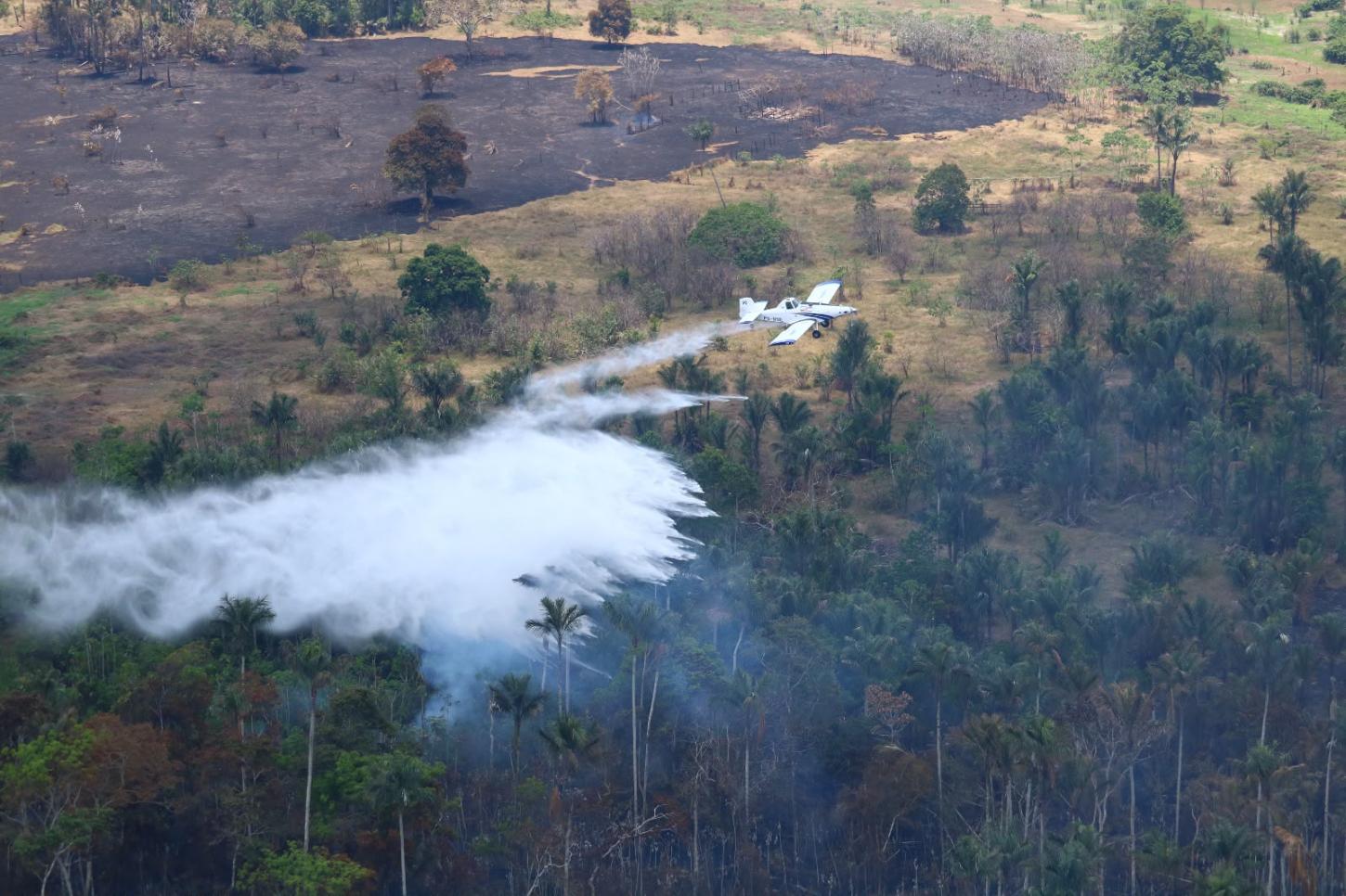 Em duas semanas, aeronaves lançaram mais de 3 milhões de litros de água para combater incêndios florestais no Amazonas