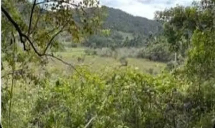 A preparação da terra para começar a obra da criação!