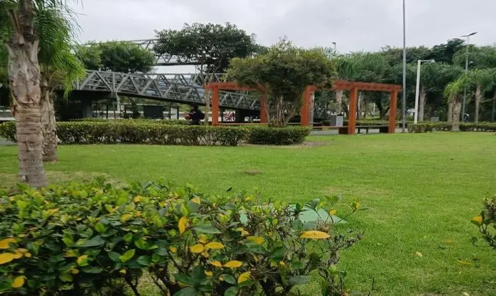 A preparação do projeto para obra da criação!    
