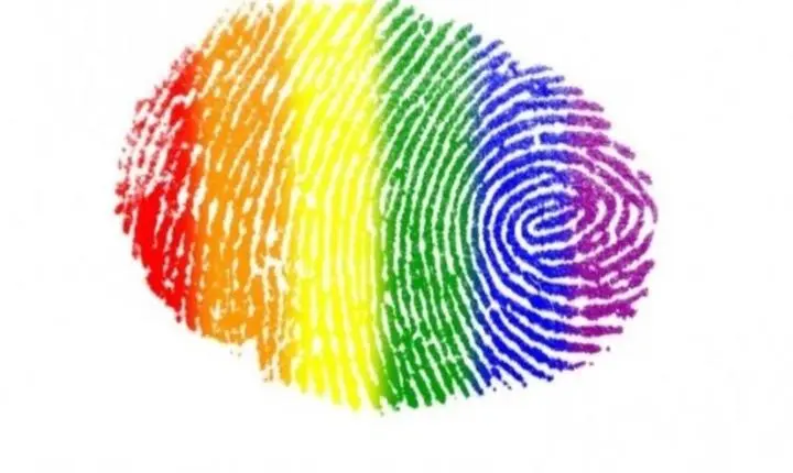 Artigo dez, do dez mandamento da LGBTQIAPN+ 