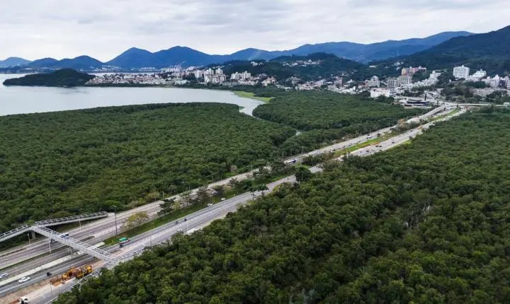 Avenida da Saudade terá interdições na noite de segunda-feira (31) para retirada de pórtico