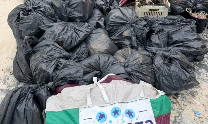 Bateria de caminhão, vapes e panelas: o que 200 voluntários encontraram no mar e na praia de Porto Belo