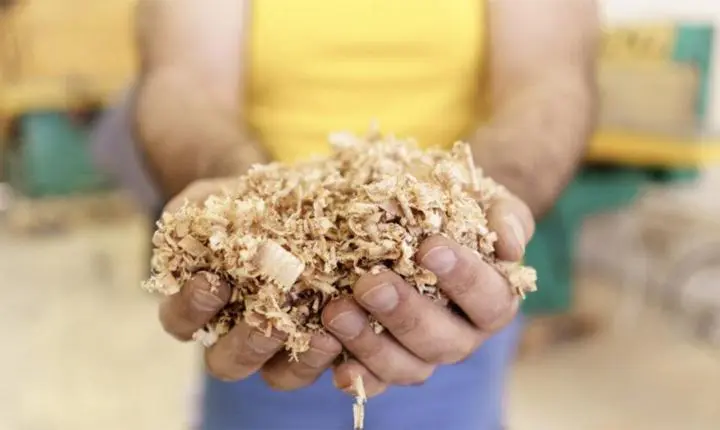 Biorreator criado em laboratório degrada resíduos da indústria de papel e celulose