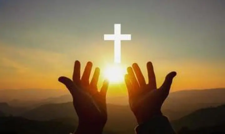 Buscar em verdade, e com sinceridade, aquilo que queremos conquistar. 