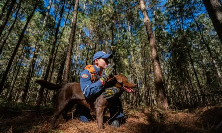 Cães bombeiros: pai e filha que serviram Santa Catarina se aposentam juntos em Porto União