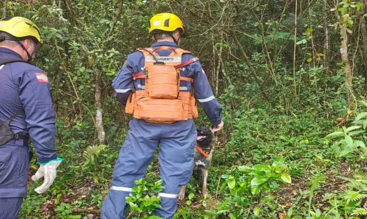 CBMSC localiza corpo de homem desaparecido em Florianópolis com auxílio de cão de busca.