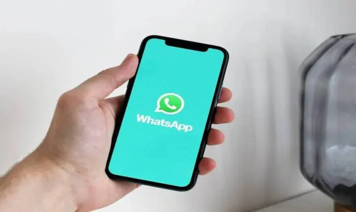 CNDH recebe denúncia de uso de simbologia nazista para intimidação política em grupo de WhatsApp de Niterói (RJ)