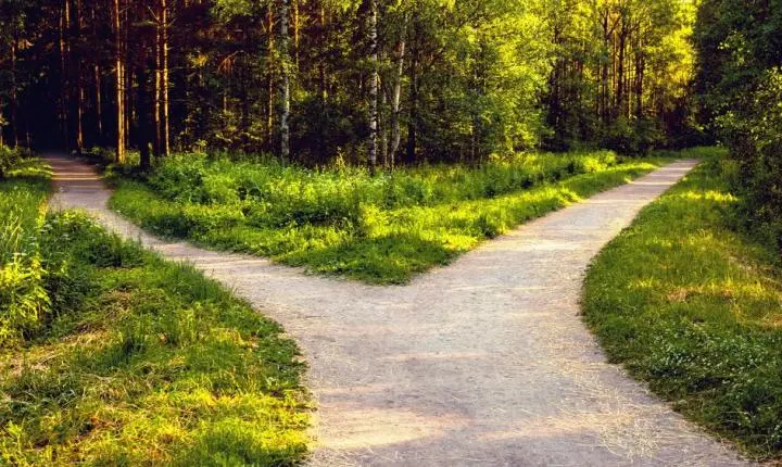 Diante da Alegria e, a Tristeza: Qual caminho escolher?