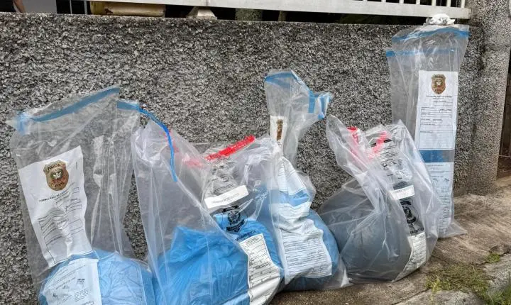 Dibea e DPA resgatam 12 animais e prendem tutora por maus-tratos no Campeche   