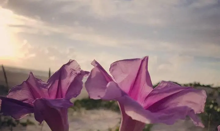 Escutar é um ato de amor