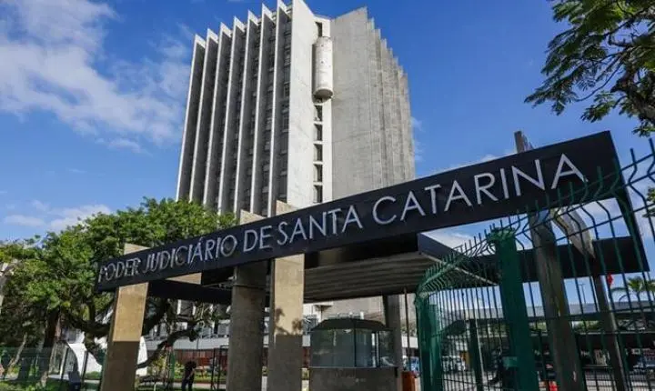  Lei de Crimes Ambientais absorve imputação de receptação em caso de aves silvestres