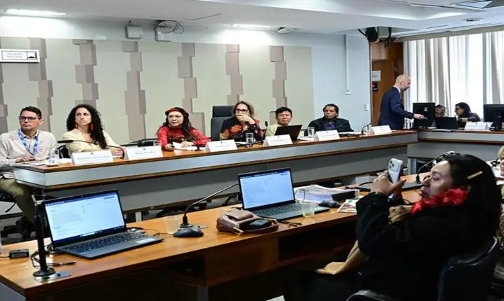 Lideranças ianomâmis cobram proteção e continuidade de ações ambientais