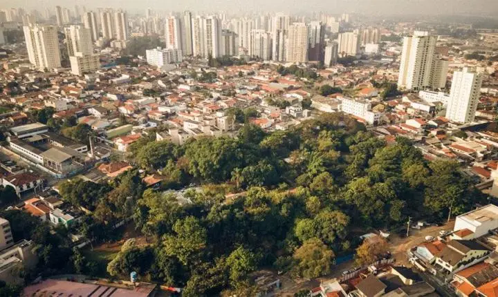 Muito além do verde: como gênero e CEP mudam nossa conexão mental com a natureza