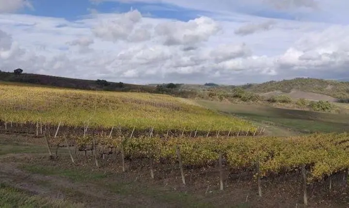 Pequeno produtor vence na Justiça após manobra abusiva de banco em dívida milionária