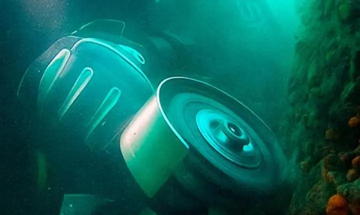 Pesquisa da UFSC desenvolve tecnologias para controle de espécie invasora de coral