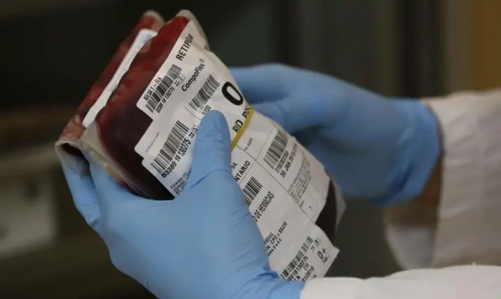 População pode contribuir com a manutenção dos estoques seguros de sangue