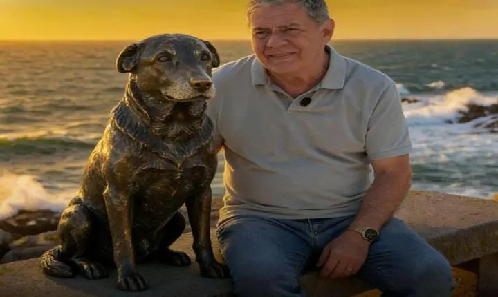 Praia Brava em Florianópolis (SC), ganhará estátua do cão Orelha