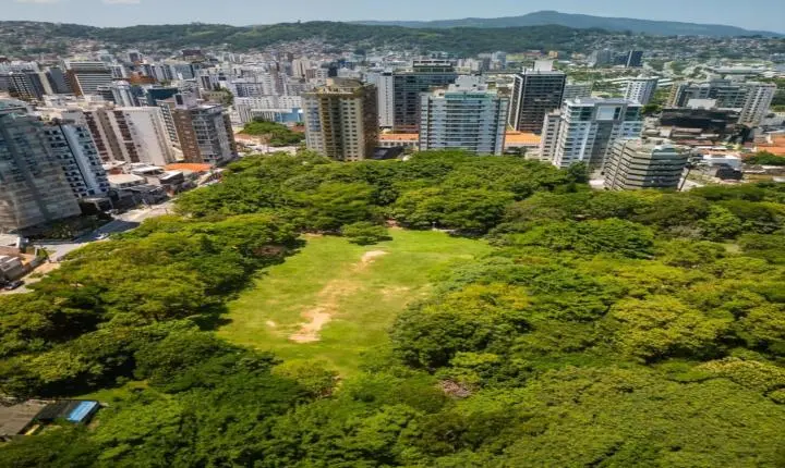 Prefeitura inicia implantação de nova iluminação em área de 6 mil m² do Parque da Luz