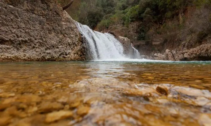 Proteção das nascentes orienta atuação de indústria de água mineral no Paraná