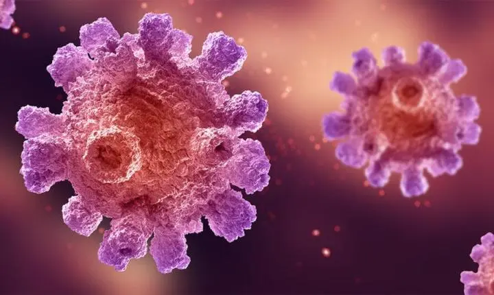 Proteínas do próprio corpo podem mudar resposta imune contra fungo causador de infecções graves