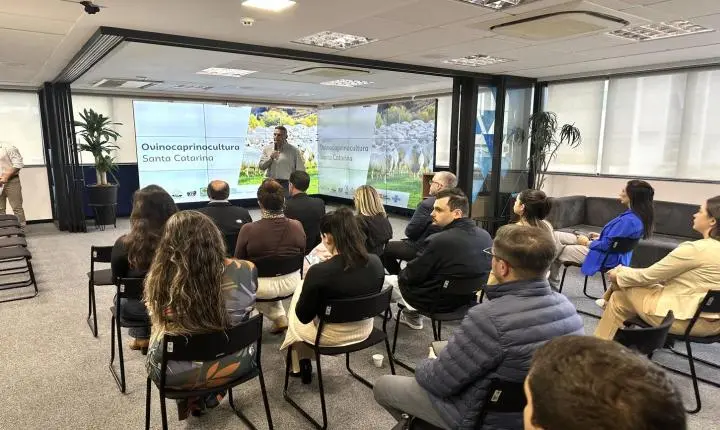 Sebrae/SC entrega estudo de Inteligência de Mercado da Ovinocaprinocultura e apresenta resultados inéditos de Genômica Ovina no Brasil